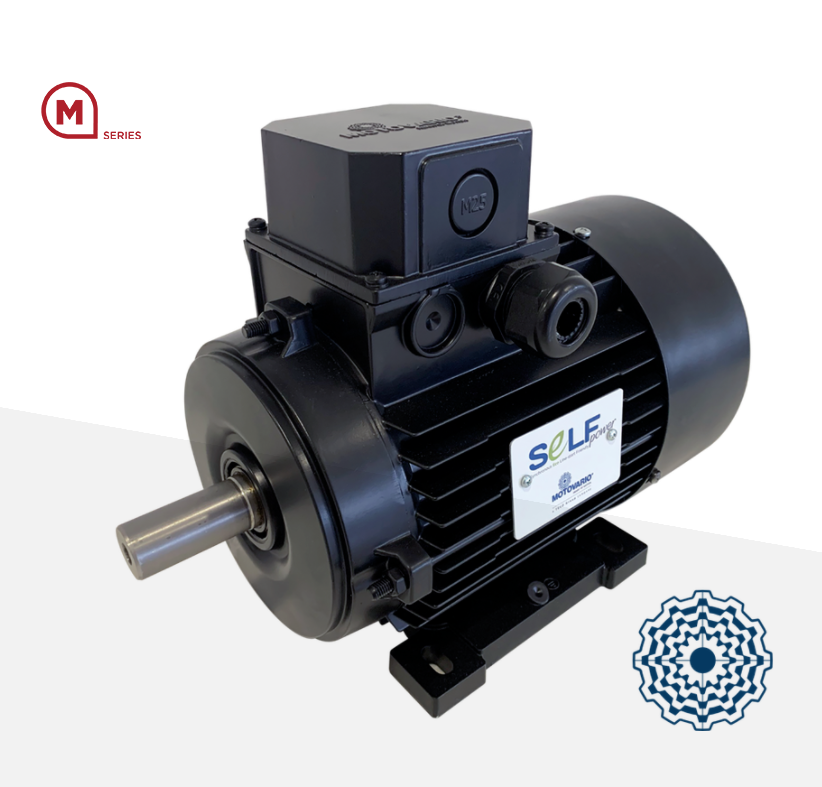 Self starting synchronous motor