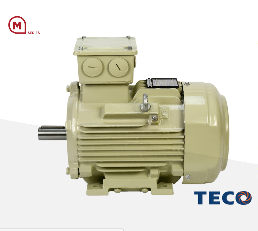 Cast iron motor ATEX