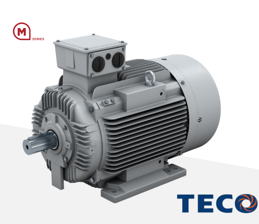 Cast iron motors IEC
